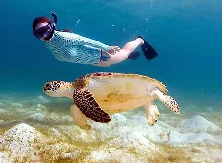 King's Palace * بافوس