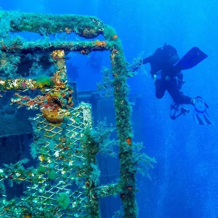 King's Palace Paphos