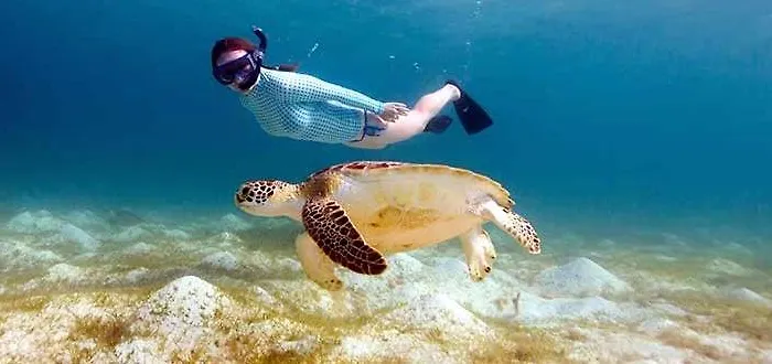 King's Palace * Paphos