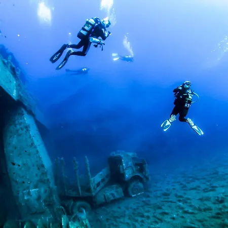 King's Palace 파포스